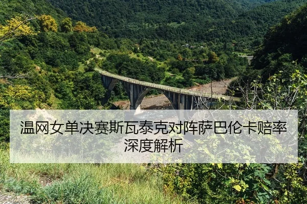 wen-wang-nv-dan-jue-sai-si-wa-tai-ke-dui-zhen-sa-ba-lun-ka-pei-lv-shen-du-jie-xi-1-647.jpg