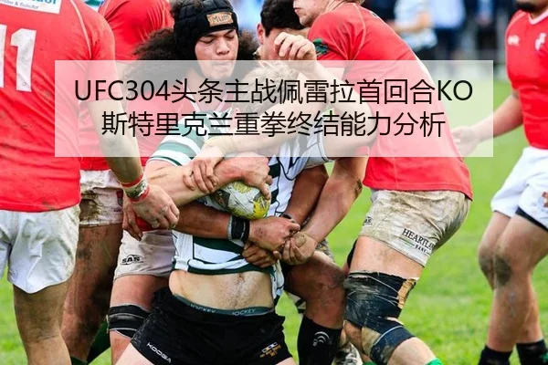 tou-tiao-zhu-zhan-pei-lei-la-shou-hui-he-si-te-li-ke-lan-zhong-quan-zhong-jie-neng-li-fen-xi-2-406.jpg